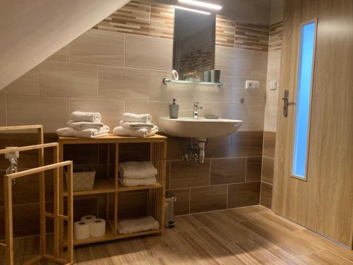 W łazience znajduje się umywalka, lustro i prysznic. w obiekcie Pension Kotva w mieście Beroun