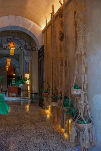 a hallway of a building with plants on the wall at Casa Antonieta in Oaxaca City