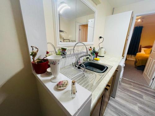 eine Küchentheke mit einem Waschbecken und einem Spiegel in der Unterkunft Cosy flat in Little Paxton