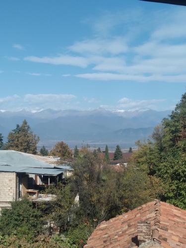 a view of a house with mountains in the background at Phudze in Tʼelavi