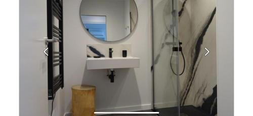 ein Bad mit einem Waschbecken und einem Spiegel in der Unterkunft Chez Majorel in Espalion