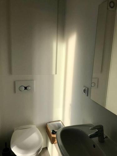 une salle de bain avec des toilettes blanches et un lavabo dans l'établissement Tiny house à la campagne, à Obrechies