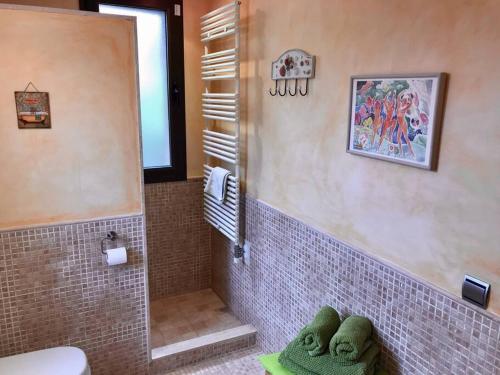 ein Bad mit einer ebenerdigen Dusche und einem WC in der Unterkunft Schöne meernahe Villa mit Pool+Grill, Nähe Artà in Colònia de Sant Pere