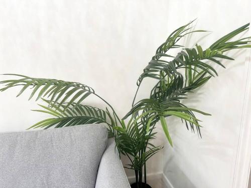 a green plant in a vase next to a couch at 4 Bed house in Daneby Road,SE6 in Catford