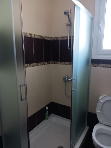 a bathroom with a shower and a toilet at 2 bedroom apartment in Nicosia