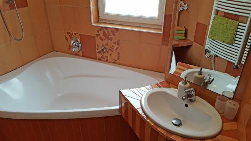 Lipno-1 Apartmány