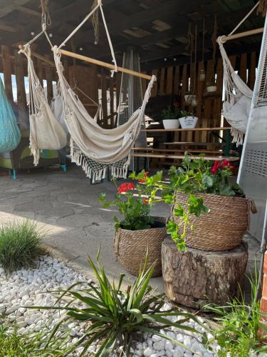 un patio avec un hamac et quelques plantes et fleurs dans l'établissement Aparatment dla 4 osób numer 1, à Orzysz