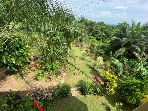 Jardín al aire libre en Lodge au paradis fleuri