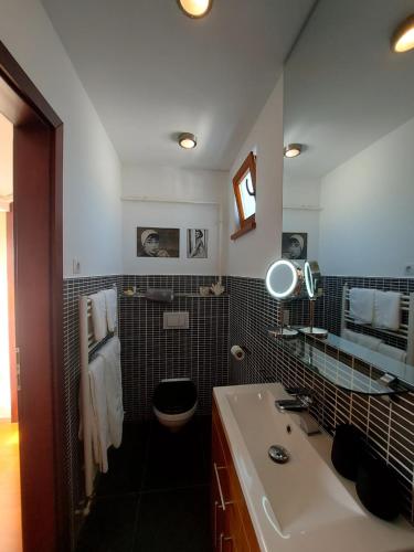 a bathroom with a sink and a toilet and a mirror at August Panorama Apartman in Vác