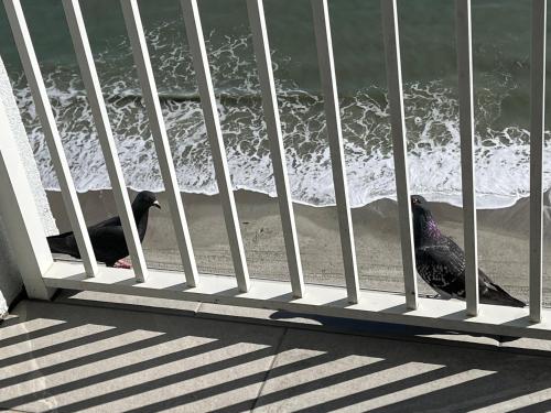 Atlantica Resort photo 53
