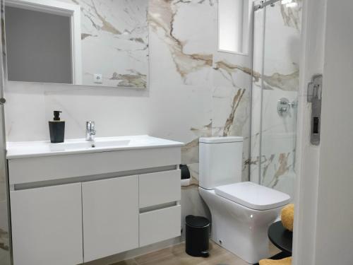 a bathroom with a toilet and a sink and a shower at Alojamento Andorinhas in Senhora da Hora