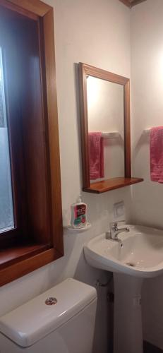 y baño con aseo, lavabo y espejo. en Departamento Campanita en San Martín de los Andes