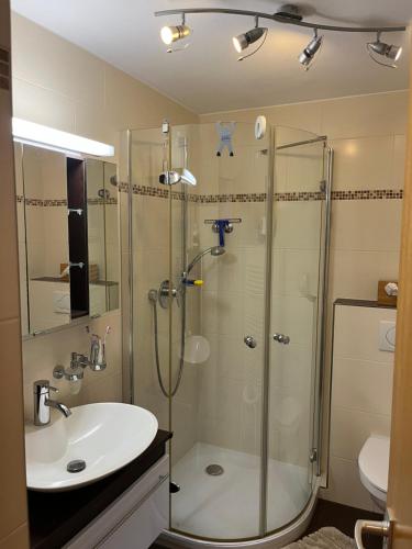 a bathroom with a shower and a sink at Waldhaus Max in Bad Wildbad