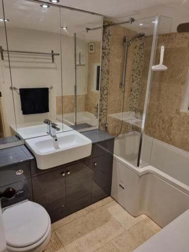 a bathroom with a toilet and a sink and a shower at Entire Thatched Cottage in Melbourn