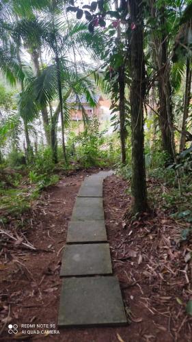 un sentiero nel mezzo di una foresta con alberi di Vila Paraíso a Blumenau