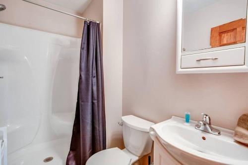 een badkamer met een toilet, een wastafel en een douche bij On Campus Home Updated Steps From Hesburgh - 10+ in South Bend