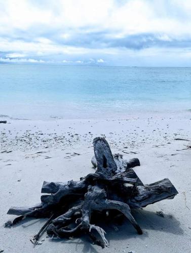 a piece of drift wood on a beach at Résidence Véronia in Rodrigues Island