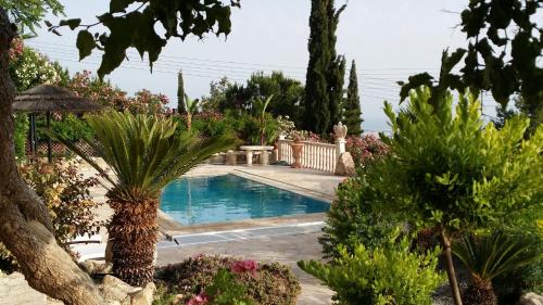 Fotografie z fotogalerie ubytování Garden of Eden Villa v destinaci Paphos City