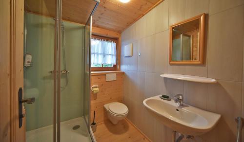a bathroom with a shower and a sink and a toilet at RANGERSDORFER HÜTTE in Witschdorf