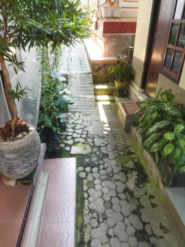 a walkway in front of a building with a plant at Wahwik's House in Ubud