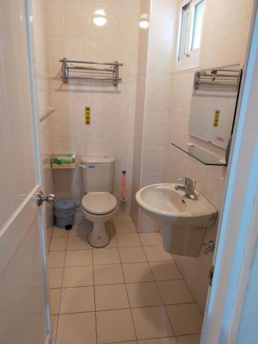a bathroom with a toilet and a sink at Blue Ocean Bay in Xiaoliuqiu