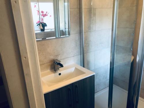 a bathroom with a sink and a shower at Cottonwood Barn in Goffs Oak