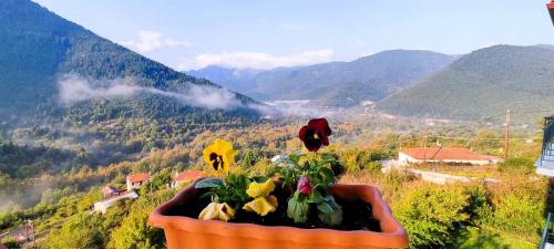 Ein allgemeiner Bergblick oder ein Berglick von der Pension aus