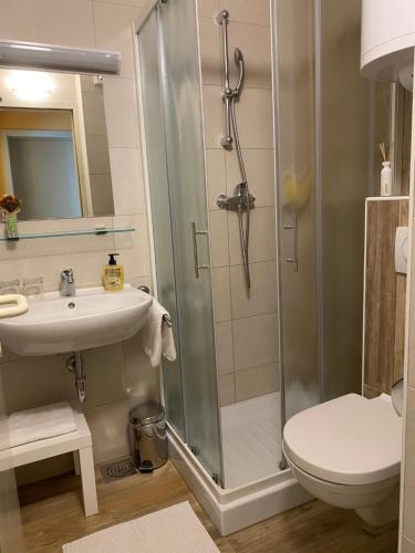 een badkamer met een douche, een wastafel en een toilet bij Apartma Iskra in Podčetrtek