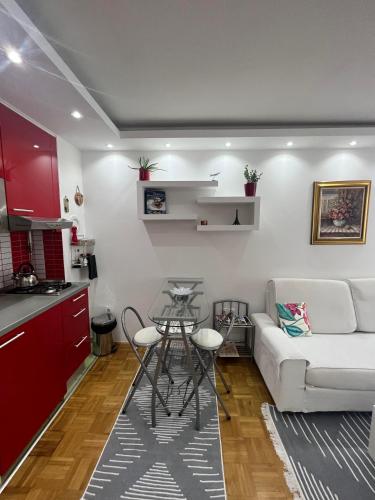 Kuchyň nebo kuchyňský kout v ubytování SASE Apartment