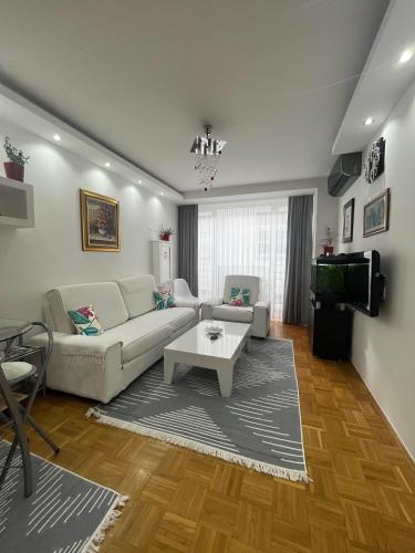 SASE Apartment