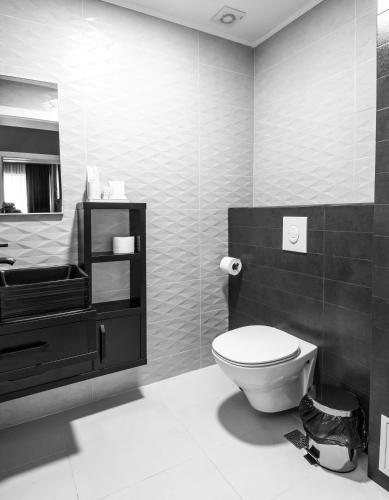 a bathroom with a toilet and a sink at Hotel Javu in Mamaia Nord