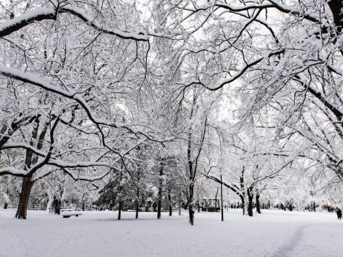 a park covered in snow with trees and benches at the b sapporo in Sapporo