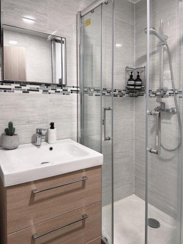 une salle de bain avec un lavabo et une douche en verre dans l'établissement The Bancycar, à Annecy