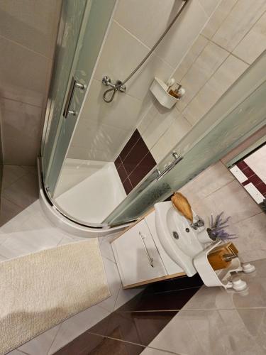 W łazience znajduje się umywalka i prysznic. w obiekcie Chelosiowy Apartament w mieście Jaworznia
