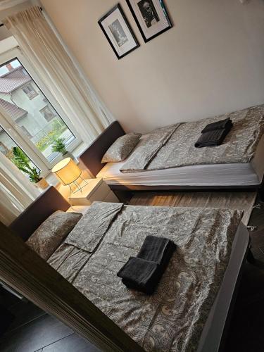 2 łóżka w sypialni z oknem w obiekcie Chelosiowy Apartament w mieście Jaworznia