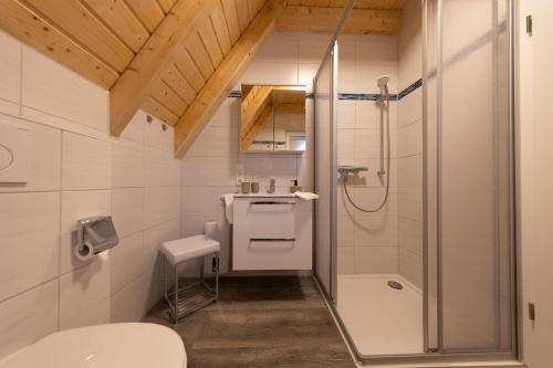 uma pequena casa de banho com chuveiro e WC em MP 18 - Strandvogt 3 Komfort em Dorum Neufeld