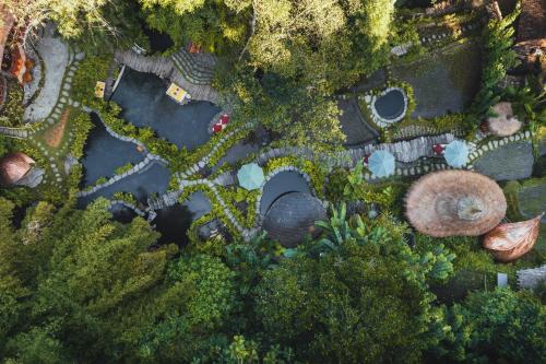 an overhead view of a park with trees and bushes at Bambu Indah in Ubud