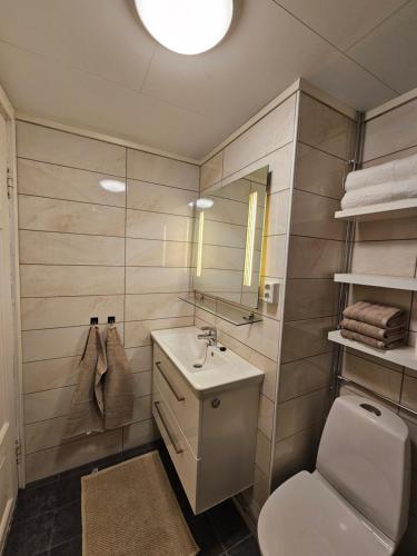 een badkamer met een wastafel, een toilet en een spiegel bij Lovely city center apartment with amazing views and free parking! in Tromsø