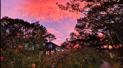 una casa en un campo con un cielo colorido en Romantic house 2 on a pine hill Dalat en Da Lat