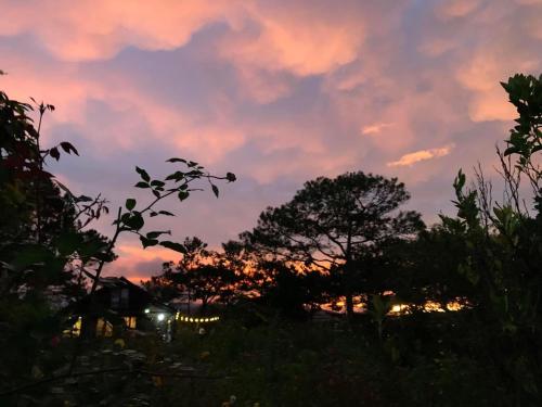 a sunset over a field with trees in the foreground at Romantic house 2 on a pine hill Dalat in Da Lat