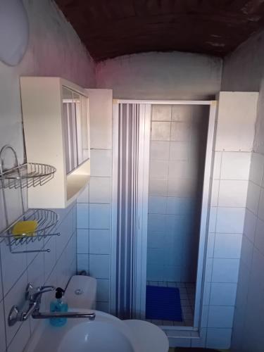 een badkamer met een douche, een wastafel en een toilet bij Statek in Veverská Bítýška