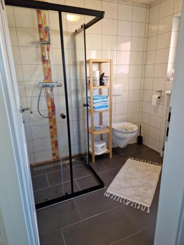 bagno con doccia e servizi igienici. di Wohnung Nordseebriese a Norden
