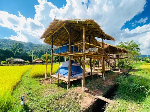 a hut in the middle of a rice field at PANAKLUEA Cottage & Crafts - พนาเกลือ in Ban Kham