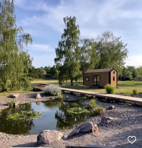 une petite maison avec un étang devant elle dans l'établissement MyCosyTiny, à Griesheim-près-Molsheim