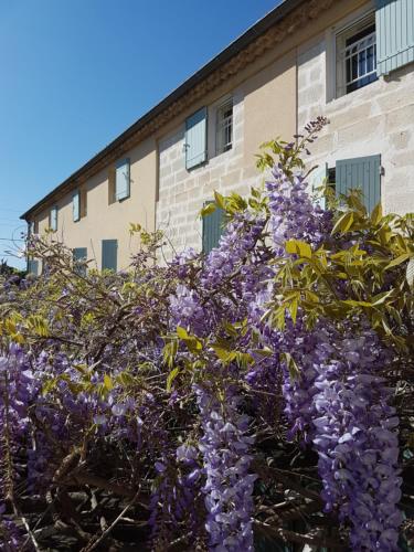 Logis Hotel la Ferme photo 17
