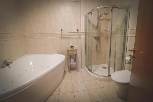 a bathroom with a tub and a shower and a toilet at O'Neill Arms Hotel in Toome
