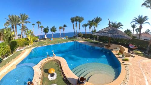 a large swimming pool with palm trees and the ocean at Casa Del Sol in Sharm El Sheikh