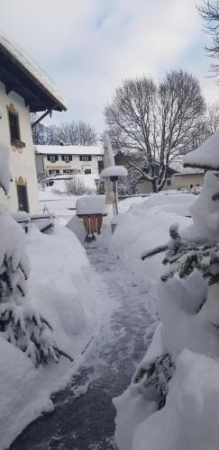 a yard covered in snow next to a house at Hotel Alter Wirt in Weyarn
