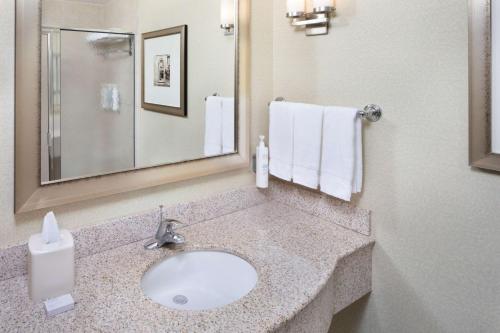 een badkamer met een wastafel en een spiegel bij Hilton Garden Inn Miami Airport West in Miami