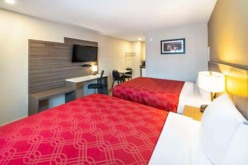 Кровать или кровати в номере Econo Lodge Inn & Suites